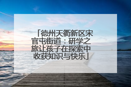 德州天衢新区宋官屯街道：研学之旅让孩子在探索中收获知识与快乐